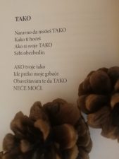 "Roditelji su želeli da postanem 'gospođa sa fiksnim radnim vremenom'" 12