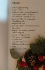 "Roditelji su želeli da postanem 'gospođa sa fiksnim radnim vremenom'" 11