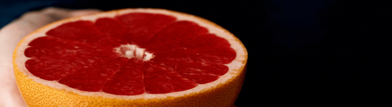 Kako upokojiti vampire prošlosti 2 Kako upokojiti vampire prošlosti 2