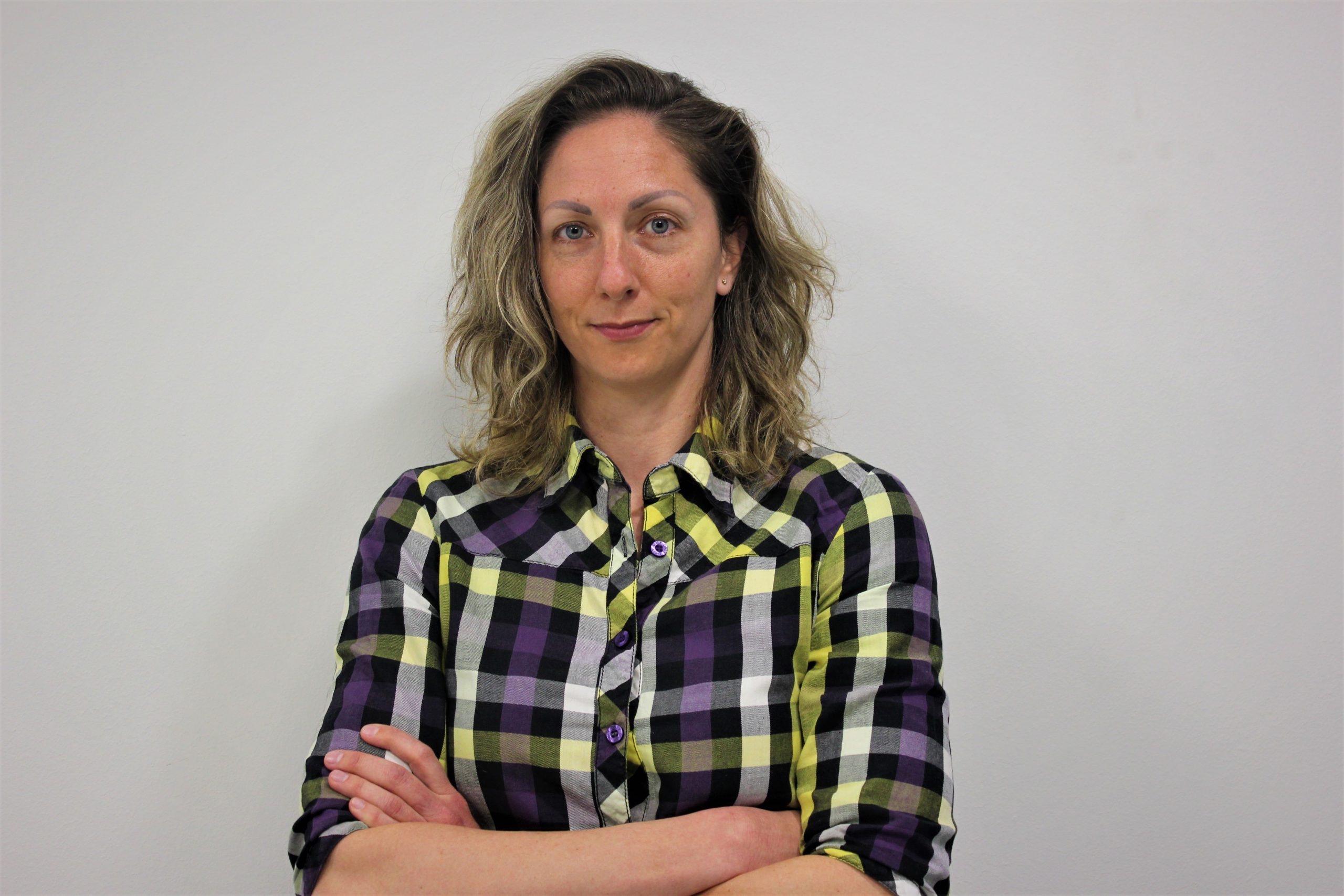 Sušenje četvrte grane vlasti 1