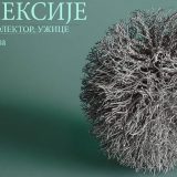 Projekat „Refleksije“ u užičkoj galeriji Reflektor: Dileme o ljudskom uticaju na prirodu 2