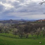 Bez saglasnosti vlasnika nema istraživanja 3