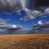 U Srbiji obeležen "Sat za našu planetu" 12