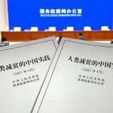 Kina objavila Belu knjigu o smanjenju siromaštva 9