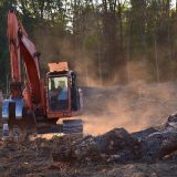 Krčenje šume može izazvati i 18 puta više poplava, upozoravaju istraživači 4