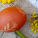 Farbanje jaja kurkumom i ljuskom od crnog luka 2