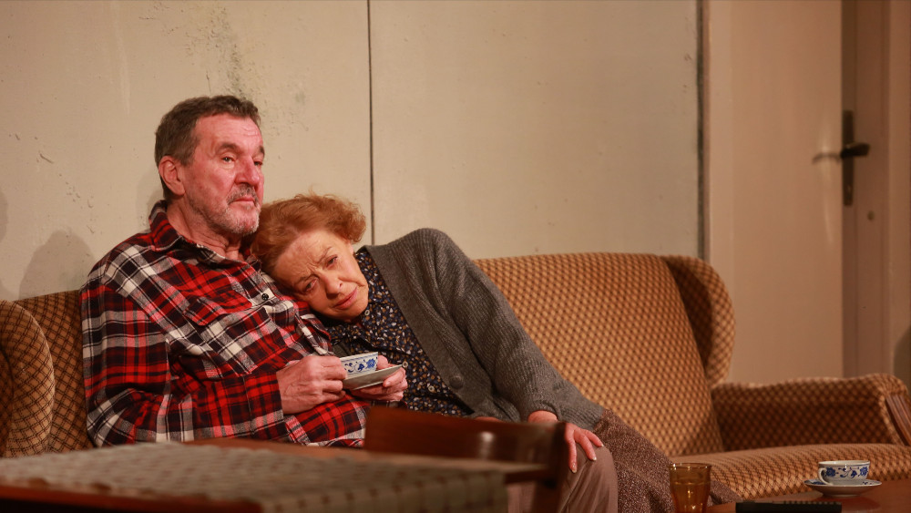 Između demencije i sećanja 1