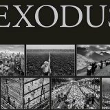 Eksploatacija prirode i migracije 2