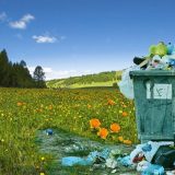 Šta je ključni ekološki problem mesta u kojem živite? (ANKETA) 9