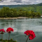 JP "Srbijašume" obeležilo Svetski dan zaštite životne sredine akcijom čišćenja desne obale reke Drine 6