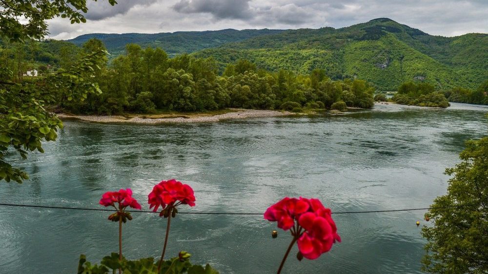 JP "Srbijašume" obeležilo Svetski dan zaštite životne sredine akcijom čišćenja desne obale reke Drine 1