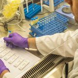 Na Graničnom prelazu Rača otkriveno pet lažnih PCR testova 11