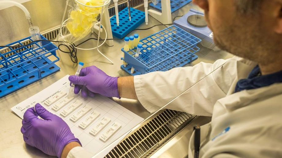 Na Graničnom prelazu Rača otkriveno pet lažnih PCR testova 1