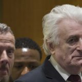 Porodica Radovana Karadžića tuži SAD 5