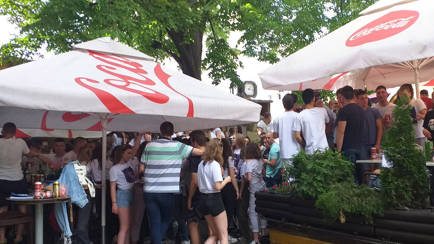 Stanari ogorčeni korona žurkama u užičkom kafiću, gradonačelnica obećala rešenje 1