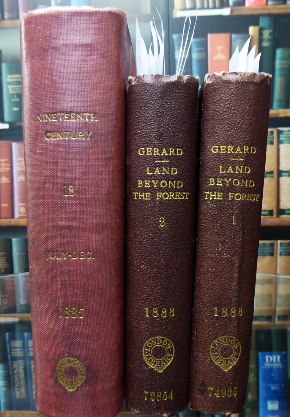 Grof Drakula, vampiri i horor: Škotska spisateljica koja je inspirisala „Drakulu“, roman Brema Stokera 3 The land beyond the forest