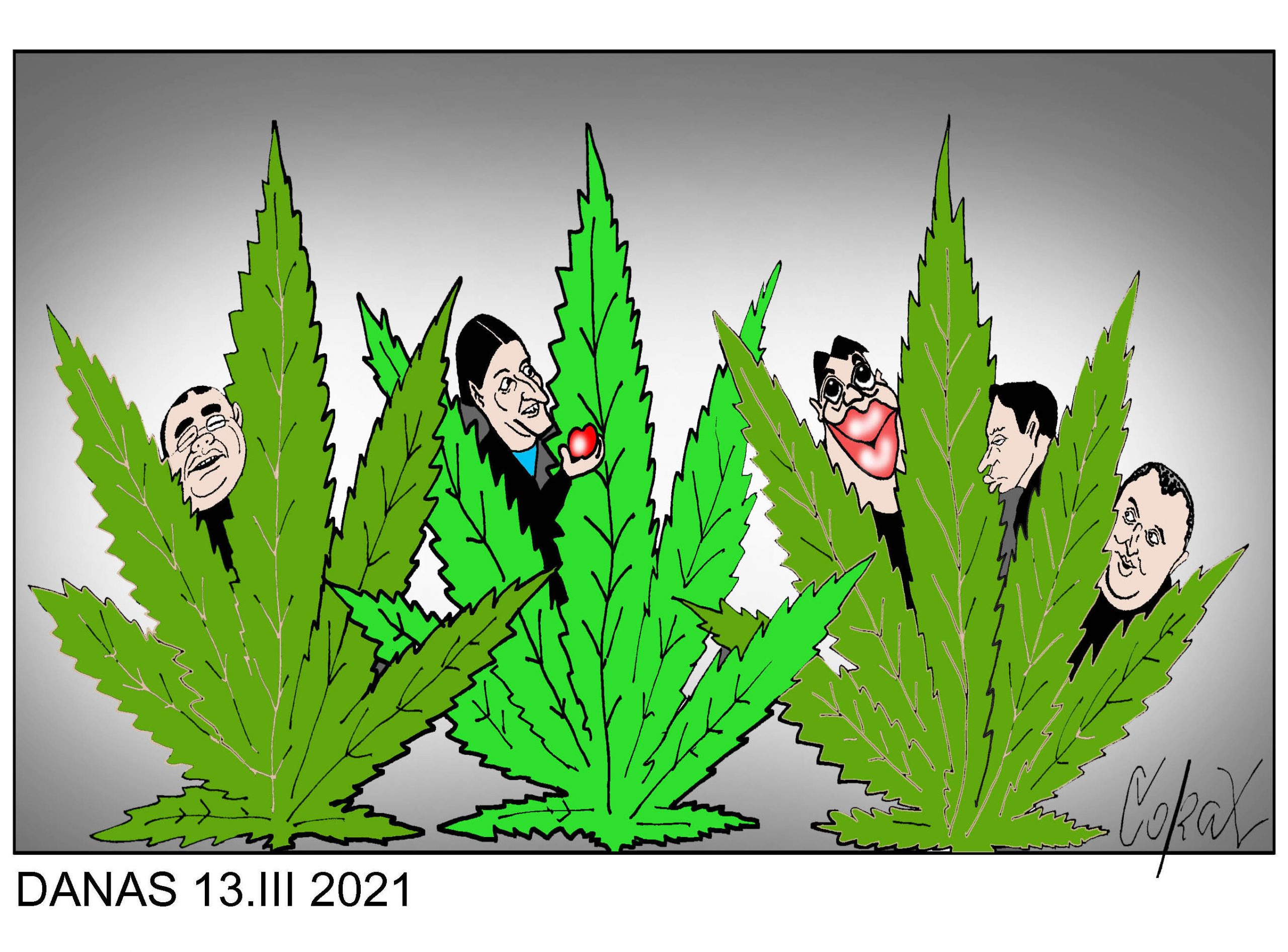 Corax 1