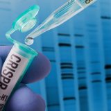 Nauka i tehnologija: Naučnici našli način da sačuvaju informacije direktno na DNK 11