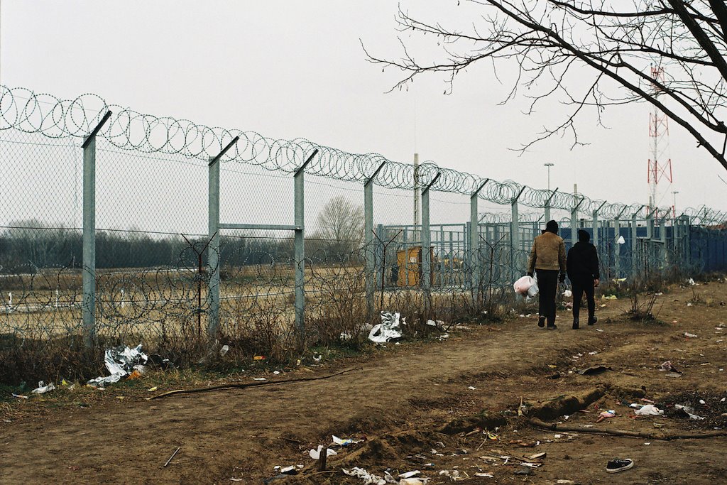 migranti na granici sa mađarskom