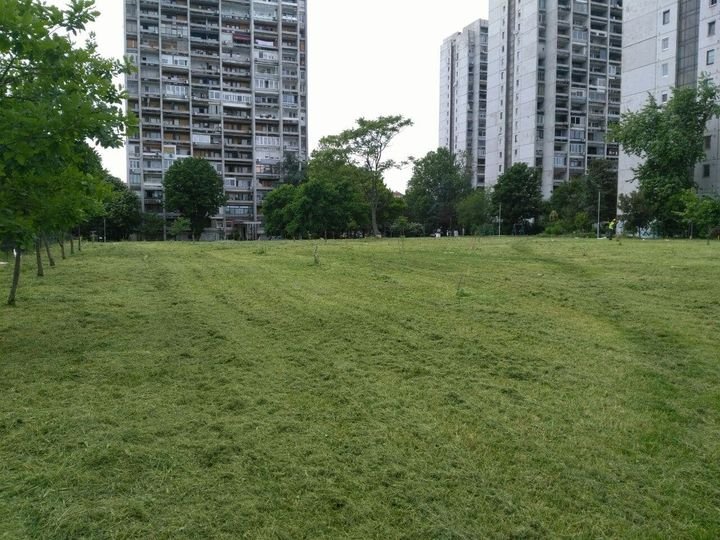 Beograd, saobraćaj i „Borba za Zemun": Zašto su Zemunci protiv izgradnje parkinga na keju 2 123