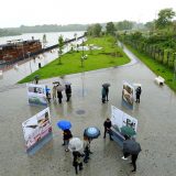 Samo 31 odsto teritorije Beograda "zeleno": Šta to znači za glavni grad u budućnosti? 9