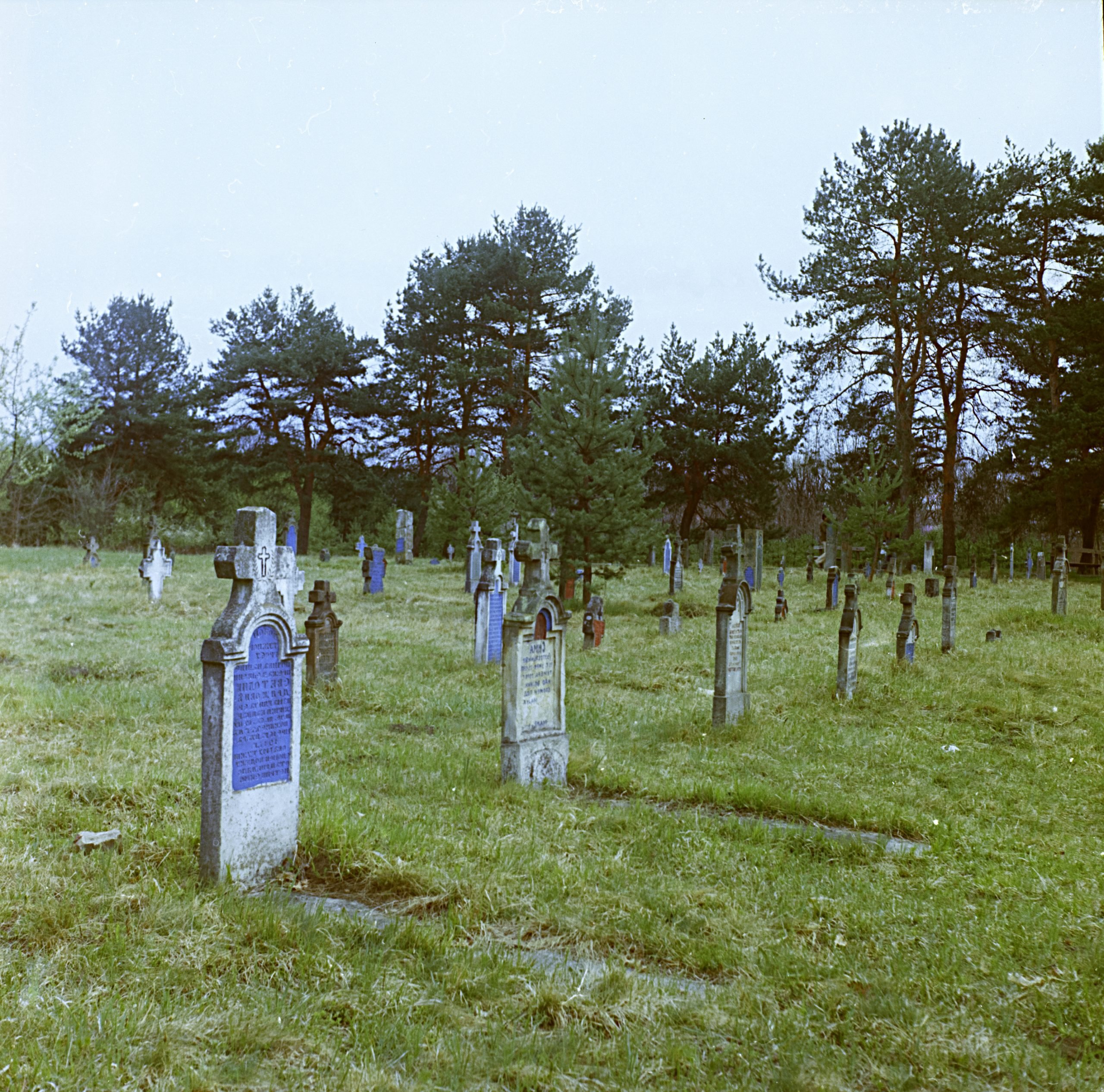 Staro vojničko groblje u Šumaricama - najstarije i najveće u Srbiji 2