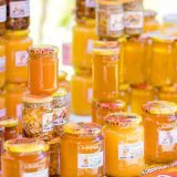 Naše pčele ne umeju da falsifikuju 14