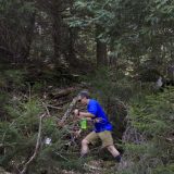 Medved teško povredio planinara u parku Jelouston 12