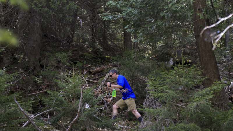 Medved teško povredio planinara u parku Jelouston 1