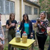 Niški gimnazijalci recikliraju užinu i prave organsku baštu 6