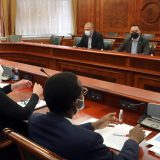 Brnabić: Srbija zainteresovana za prelazak na zelenu ekonomiju 8