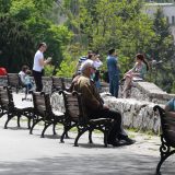 Beograd dobija mašinu za presađivanje drveća (VIDEO) 12