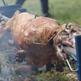 Kako su đaci u Pudarcima ostali bez donacije za grejanje u školi i kakve veze s tim imaju bik ili june i prvi čovek Grocke? 4