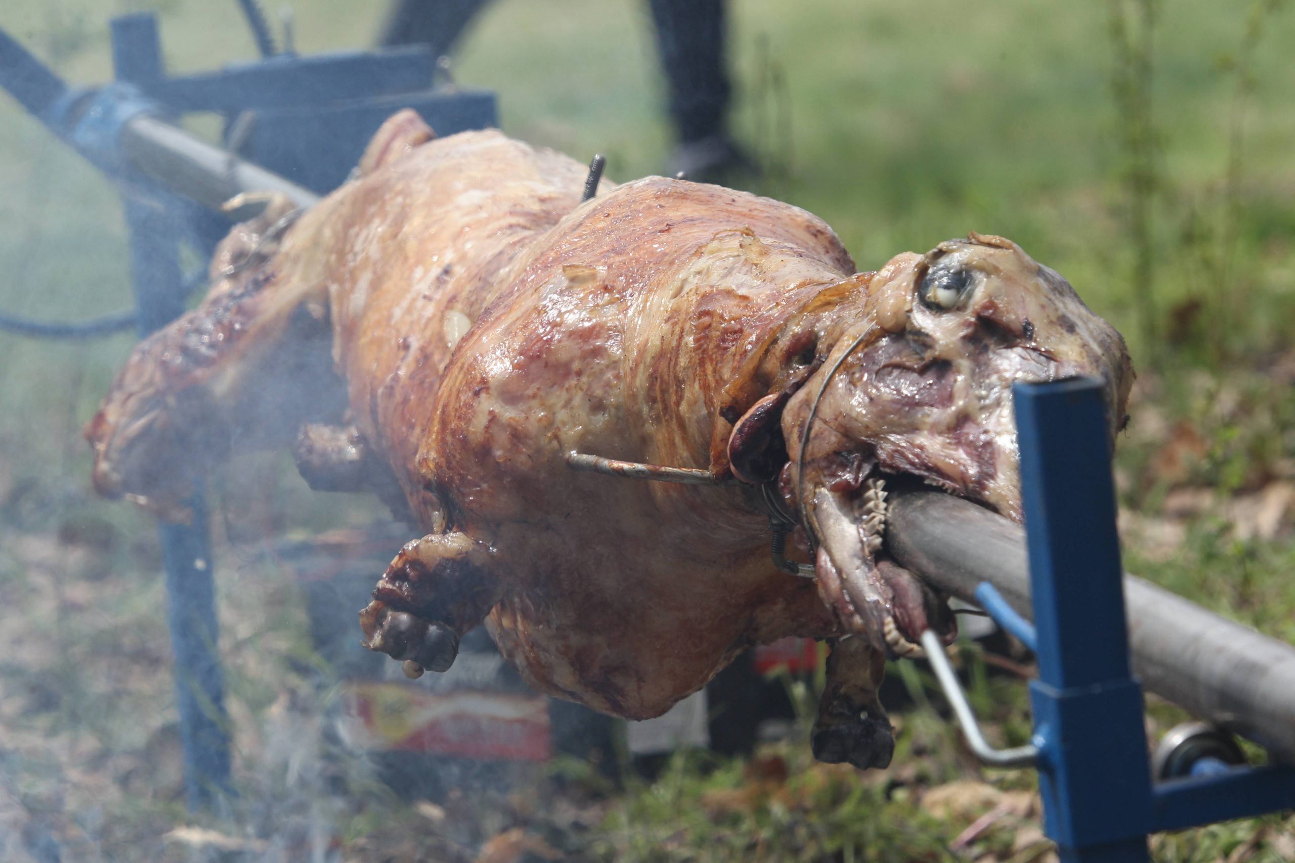 Kako su đaci u Pudarcima ostali bez donacije za grejanje u školi i kakve veze s tim imaju bik ili june i prvi čovek Grocke? 1