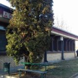 Interno odeljenje negotinske bolnice izlazi iz kovid sistema 11