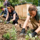 Medeni vrt kod Silosa Beograd 2