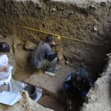 Nova saznanja o oralnom mikrobiomu neandertalaca 1