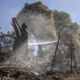 Šef grčkih vatrogasaca: Napredujemo u borbi protiv vatre u nekoliko žarišta 15