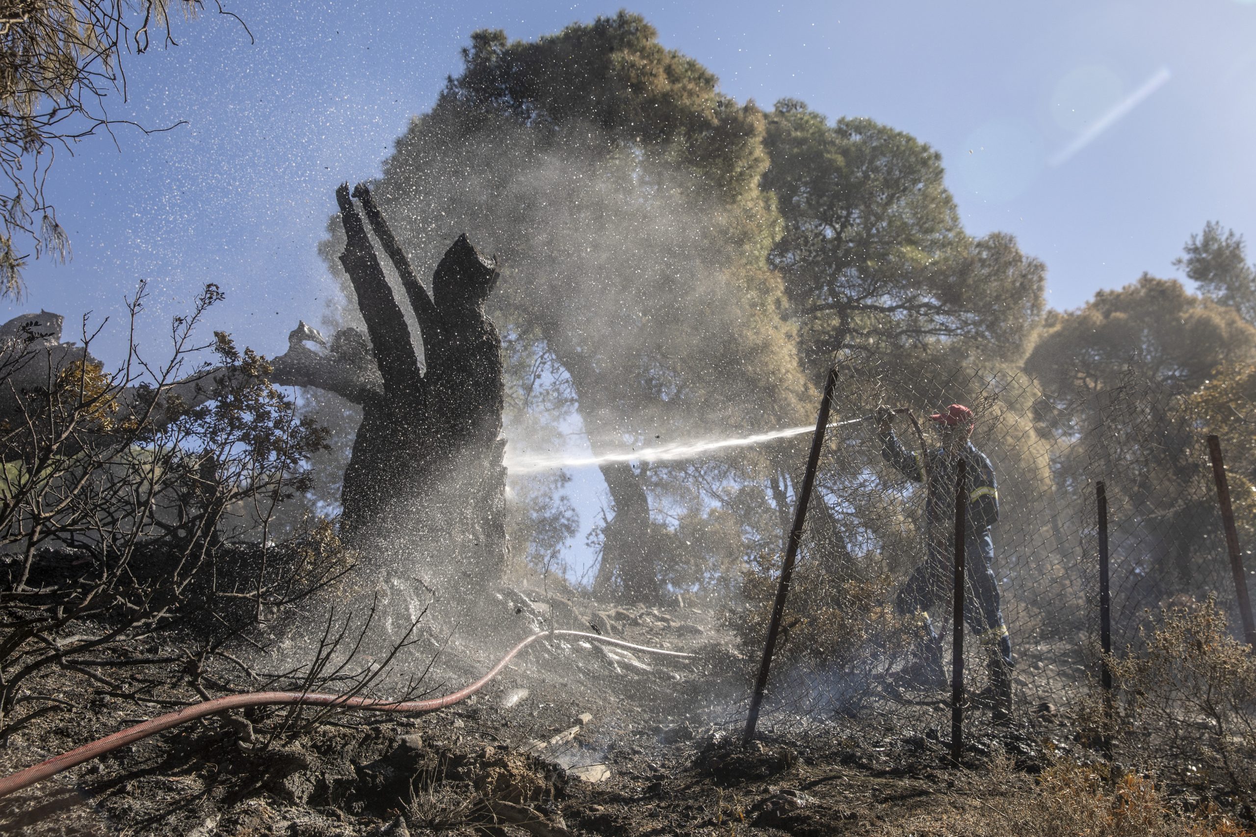Šef grčkih vatrogasaca: Napredujemo u borbi protiv vatre u nekoliko žarišta 1