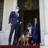 Brnabić: Bez kompromisnog rešenja za Kosovo nema stabilnosti ni investicija 14