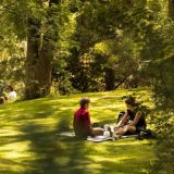 Eko parkovi u Kladovu i Boru 3