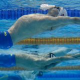 Silađi u polufinalu EP na 50 metara prsno 4