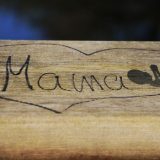 BiH: U obrasce se upisuje ime majke 2