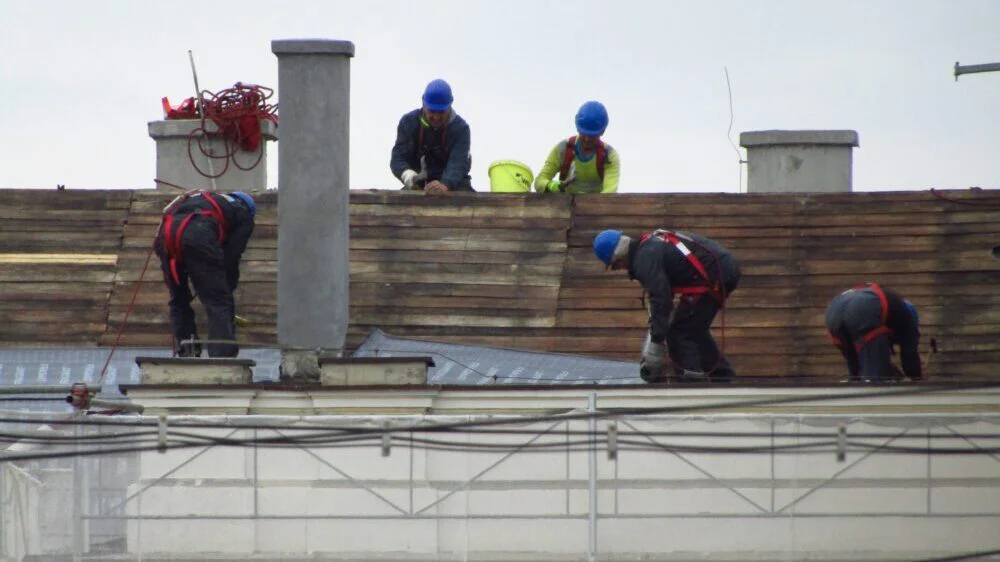 Arhitektura u vreme klimatskih promena - dole beton, gore može drvo 1