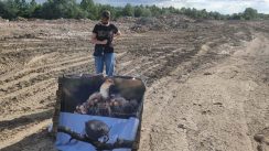 Skup građana na Bari Reva: Ovde se bukvalno zatrpava drveće (FOTO) 2