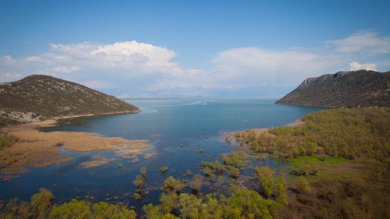 Akcija čišćenja Skadarskog jezera 1