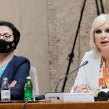 Mihajlović: Cilj je Srbija bez nasilja 9