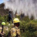 Veliki šumski požari na Kipru, vlasti traže pomoć od EU 14