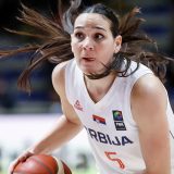 Sonja Vasić: Pobednik po prirodi 13