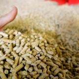 Šta stoji iza skoka cena drveta u Srbiji i svetu? 2